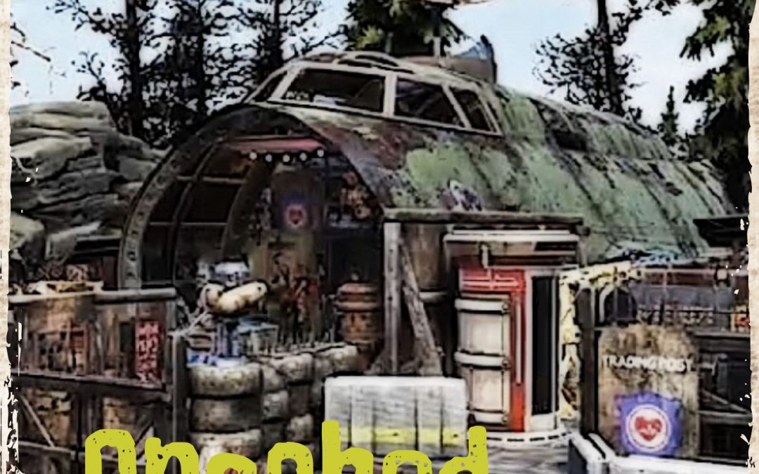 Crashed Plane Camp