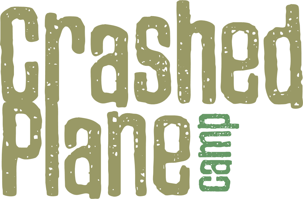 crashedplanecamp-logo Logo for Fallout 76 camp build by Darth Xion.